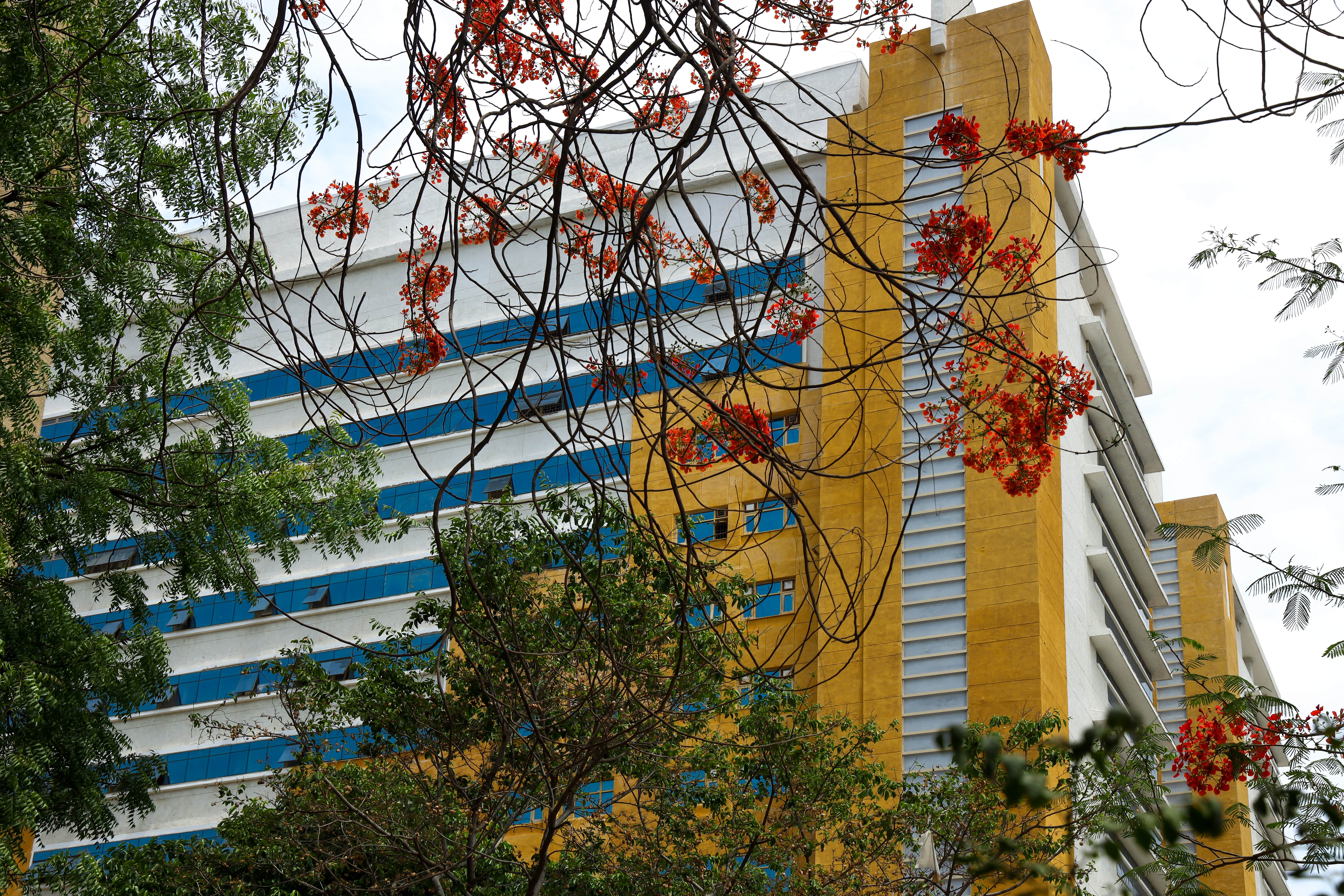 Hamidia Hospital